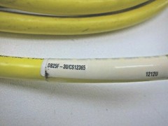 Turck DB25F-30/CS12365 Flying Lead Cable 16 foot Length
