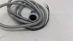 Fireye 9833 Ultra-Violet Scanner With 6’Flex