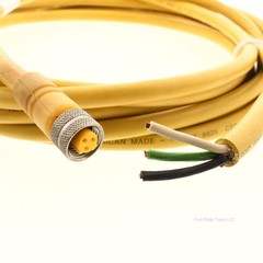 Lumberg Automation Sensor Yellow Cordset 18/3 600V #300 15-Feet SSO