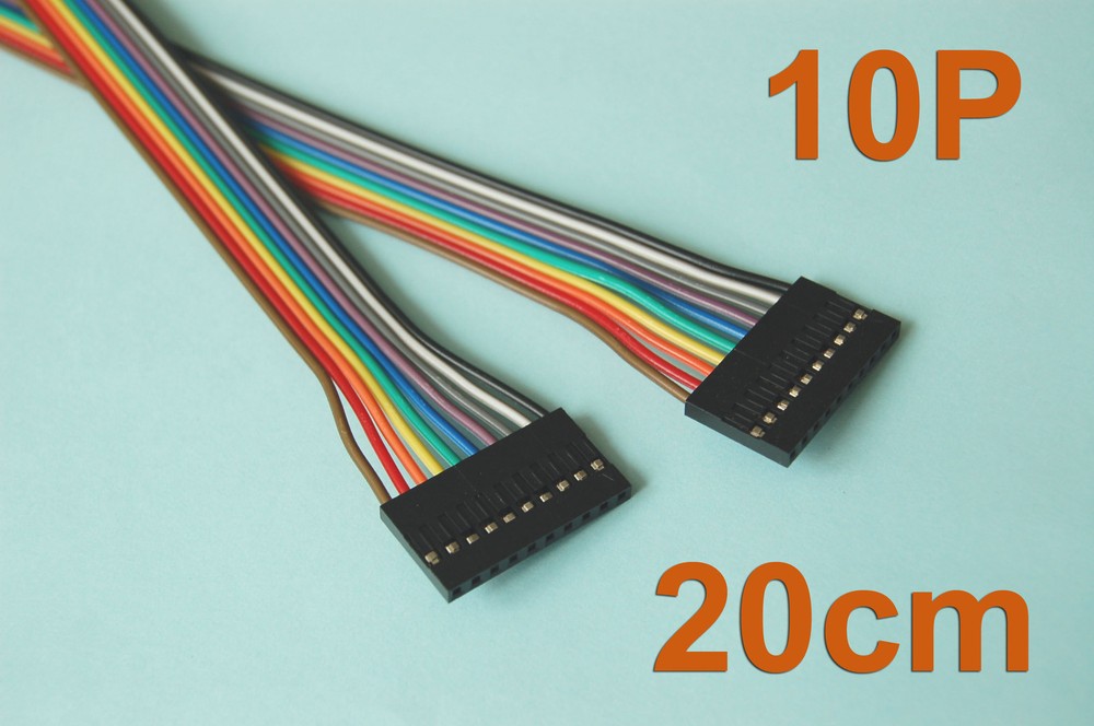 10 Pcs 20cm ( 7.9″ ) Length Dupont Wire Cable 10p 10p Pin Header 2.54mm Pitch