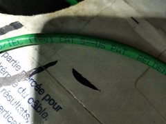 Belden 1701A 24/4P Bonded Pair DataTwist Cat5E Network Cable CMP Green /100ft