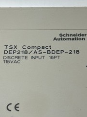 Schneider Automation DEP218/AS-BDEP-218 Discrete Input 16pt. 115VAC Module