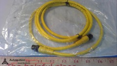 ALLEN BRADLEY 889D-F4HJDM-2 SERIES B QD PATCHCORD, 4 PIN,DC MICRO,2M,, N #271242