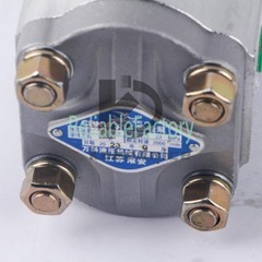 1pcs New Gear Pump CBN-F314 FHR Hydraulic Oil Pump CBN314
