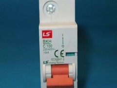 LS BKH C 100 Circuit Breaker 230/400V 10kA 1P