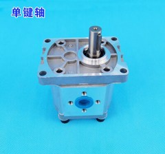 Gear Pump CBN-F306/F314/F316/F320/F325 Hydraulic Oil Gear Pump Spline Flat Key