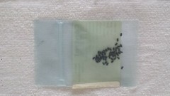 Lot 50 CMPZ5231B Marking C8F Diode Zener 5.1V 350mA SOT-23