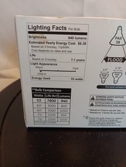 GE ENERGY EFFICIENT INDOOR OUTDOOR 53 W Bulbs Par38