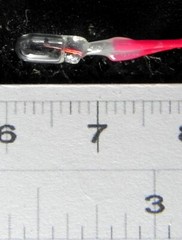 Bulb – 3Mm Miniature – Pack Of 5 – Color And Voltage Of Your Choice