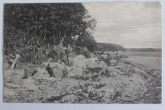 CPA Denmark Thurø Østerskoven (57002)