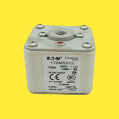QTY:1 NEW 170m5513 Fast Action Fuse