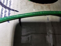 Belden 1701A 24/4P Bonded Pair DataTwist Cat5E Network Cable CMP Green /100ft