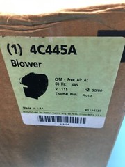 DAYTON 4C445A BLOWER, CFM FREE AIR AT, 60 HZ, 115V, AUTO THERMAL PROT, 117687