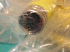 Woodhead 80458 Cordset Cable Assembly 4 pin female, 10′ **NEW** 1200650366