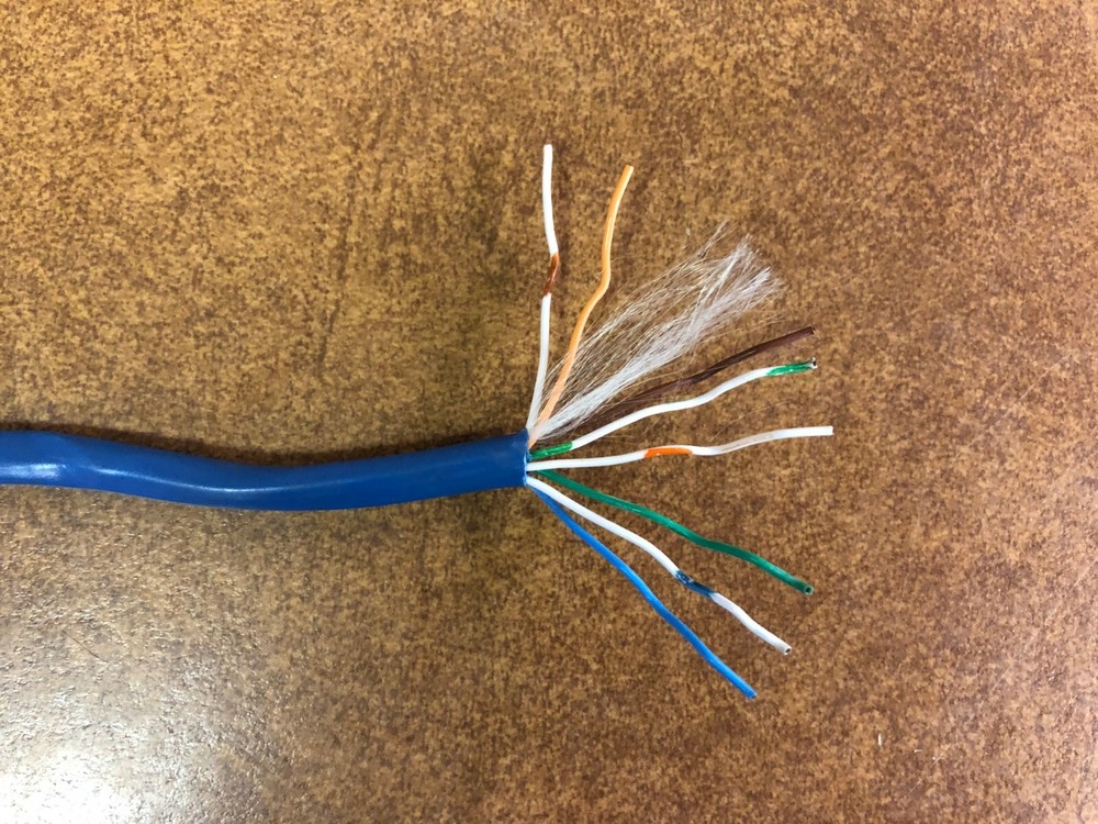 50′ Superior Essex 3NP4P24BLPESSPV 4 Pair 24 AWG Cat 3 CMR Telephone Wire Cable