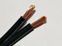 Southwire 10/2C Low Voltage Lighting Cable Direct Burial 30V LVLL ULEC /50ft