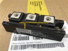 1PCS Brand New Module NIEC PDH6016 Quality Assurance 100%