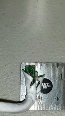 25 FT M27500-14RE3N06 4Awg White Power Cable 3/C 14Awg Green Twisted 19/27 600V