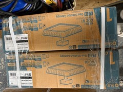 PACK OF 2 SLG LIGHTING LED GAS STATION CANOPY # CGC G1