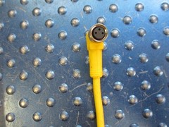 NEW TURCK PICOFAST CORDSET RIGHT ANGLE 3-PIN FEMALE U0071-4 PKW 3M-5