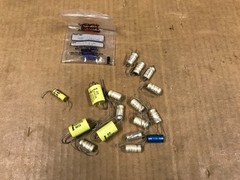 Vintage Bag Lot Of 100-Volt Capacitors