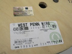 (110ft) West Penn 4245 IOBK 4Pair 24AWG UTP Category 5E CMR Indoor/Outdoor CAT5e