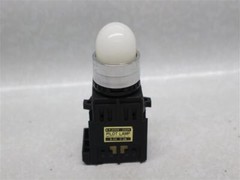 Maruyasu Electric White Light Indicator Pilot Lamp P.200V-220V S.5V 0.2A