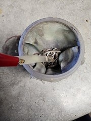 Silver ANODE / Cathode for ELECTROLYTIC REFINING or Other Labratory Experiments