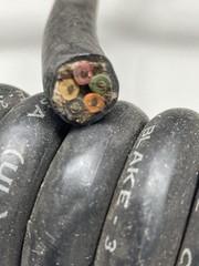 4-8015-89-91 WHITNEY BLAKE CABLE, 5 Conductor, 18 AWG, 2′ Coil, 9″ Leads