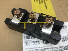 1PCS Brand New Module NIEC PD230S16 Quality Assurance 100%