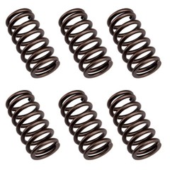 6Pcs New High RPM Valve Springs Fit for 60# Pound 89-1998 5.9 2500 3500 12V