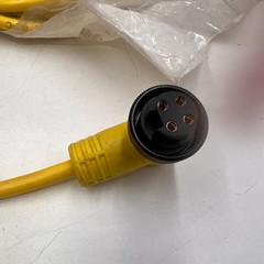NEW Allen Bradley 889N-R4AE-12F 4 Pin Mini Right Angle Cordset 12ft
