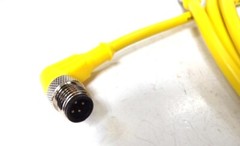RADWELL, CONNECTING CABLE, RAD07291, 889R-F4AERE2SUB, 300 VAC, 4A MAX, 90º C