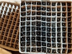 20 pcs NEW NIXIE Glow thyratron MTX-90 MTH-90 МТХ-90 Soviet NOS Russian USSR