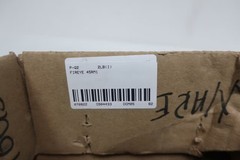 Fireye 45RM1 Self-checking Flame Scanner