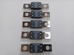 MEGA Fuse 1pc- 100A