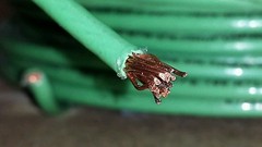 Lot Of 25FT Encore 106100905440 Copper Wire 10 AWG 600V T90 Green Nylon E156879
