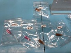 TEL 1D80-002163-11 Syringe, Set, 191155