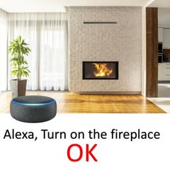 SMART SWITCH PLUG for FIREPLACE VOICE ACTIVATED + Timer – Auto ON OFF + WIFI