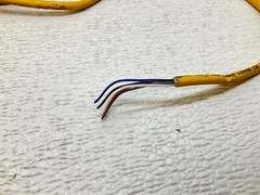 Turck P-7K-SC-261061-1-MSHA Connector Cable LL54185 P7KSC2610611MSHA (TSC)
