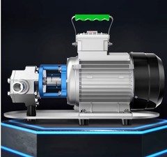 Self-priming Stainless Steel Oil Pump220/380V Gear-Driven High-Viscosity Machine