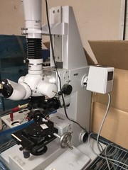 Carl Zeiss 033212 Microscope Assy, 910224, Dolan Jenner 180, 131772