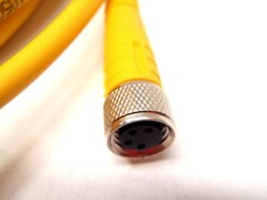 Turck PKG 4M-10-PKG 4M Picofast 4 Wire Female to Female Cordset U-23001