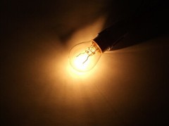 BBT Super Bright 12 volt DC 50 White LED 1141 Light Bulb