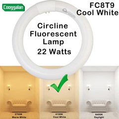 FC8T9 CW 22W Cool White Circular Fluorescent Light Bulb Round T9 22 Watt